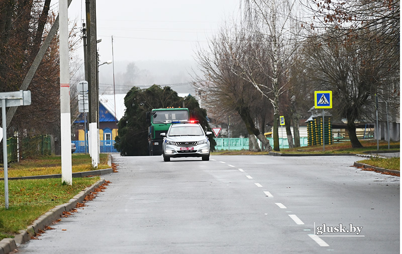 На бульваре Граховского в Глуске установили главную елку